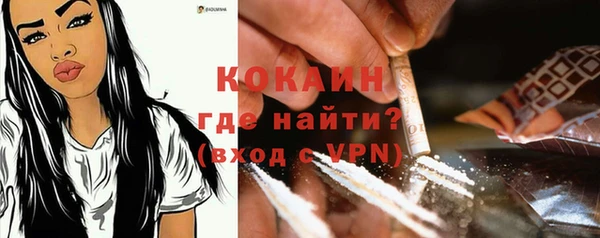 ПСИЛОЦИБИНОВЫЕ ГРИБЫ Верхний Тагил