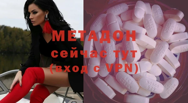 гидра Тайга
