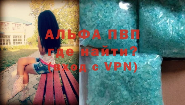прущие грибы Сясьстрой