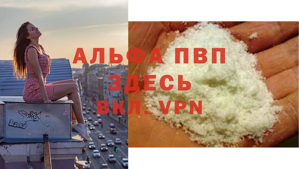ПСИЛОЦИБИНОВЫЕ ГРИБЫ Верхний Тагил
