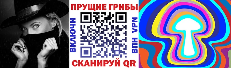 купить   Жигулёвск  Псилоцибиновые грибы прущие грибы 